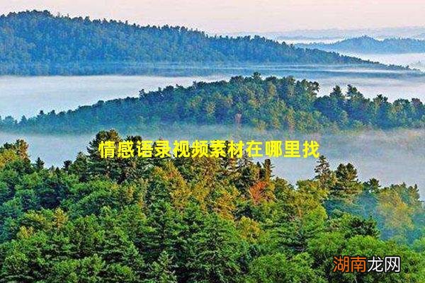 情感语录视频素材在哪里找