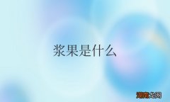 浆果是什么水果图片