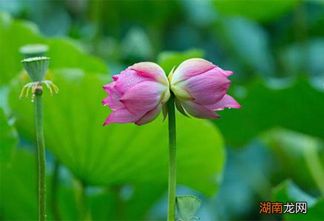 二的别称和雅称是什么