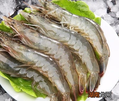 怎么辨别海虾和淡水虾图片