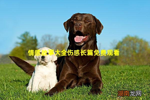 情感故事大全伤感长篇免费观看