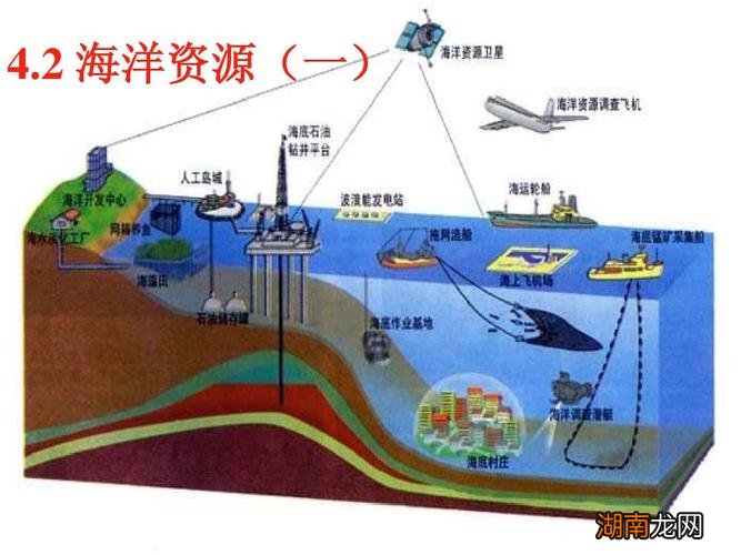 海洋资源有哪四大资源类型组成
