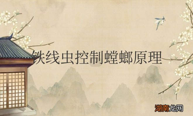 铁线虫控制螳螂原理