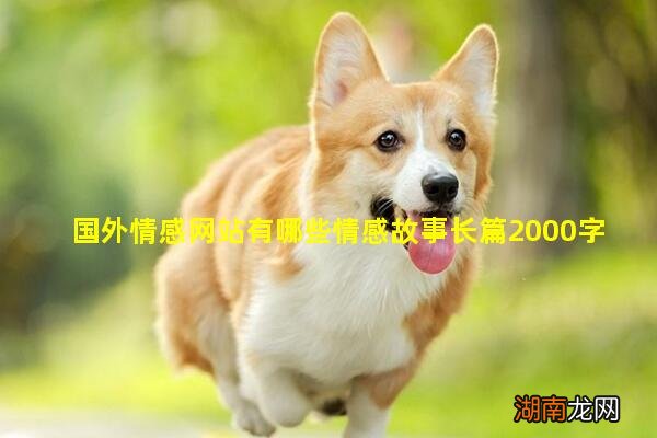 国外情感网站有哪些情感故事长篇2000字