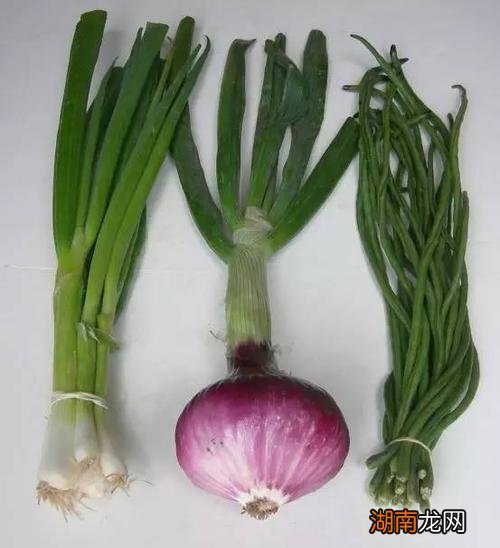青蒜是葱还是蒜 青蒜是什么季节的菜
