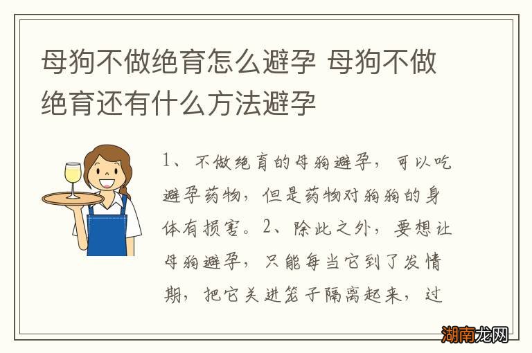 母狗不做绝育怎么避孕 母狗不做绝育还有什么方法避孕