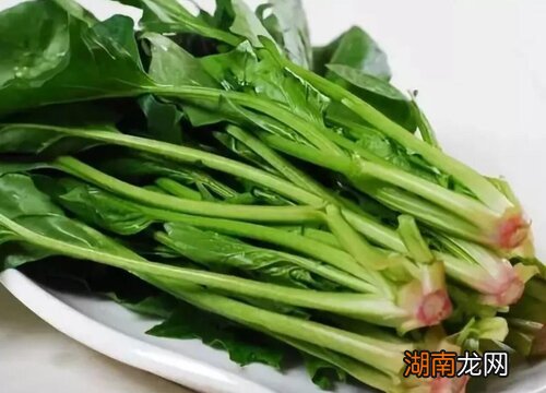 菠菜几天发芽出土露天出苗