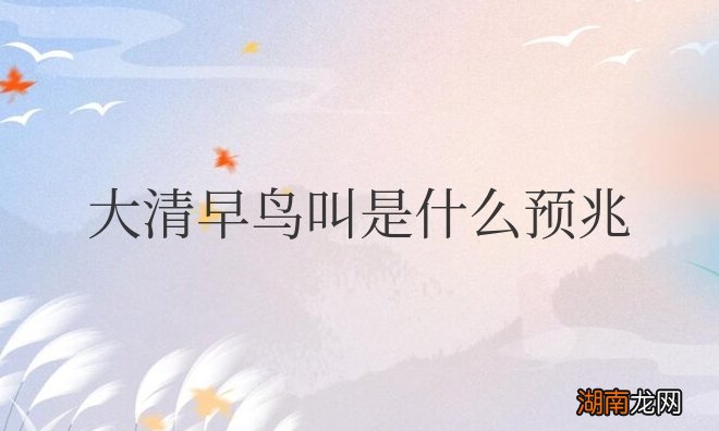 大清早鸟叫是什么预兆