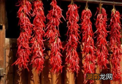 古代有辣椒吗？有历史记载吗？