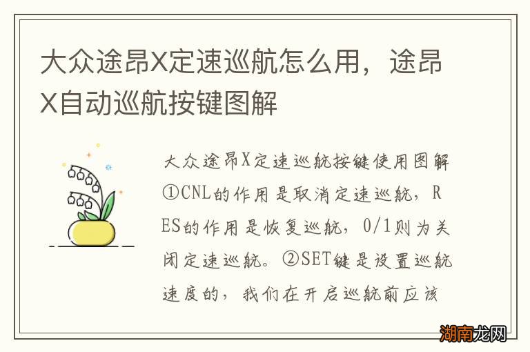 大众途昂X定速巡航怎么用,途昂X自动巡航按键图解