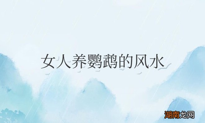 女人养鹦鹉的风水寓意