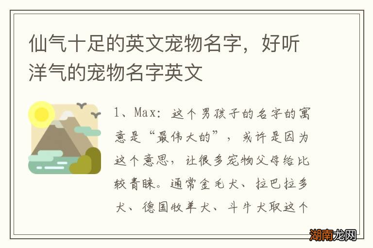 仙气十足的英文宠物名字,好听洋气的宠物名字英文