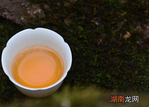 大红袍哪里产的最正宗最好喝