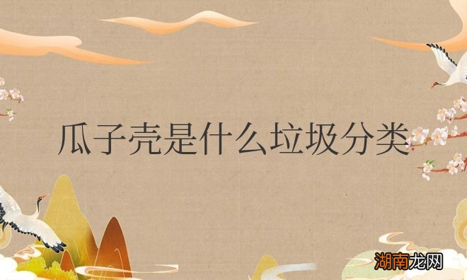 瓜子壳属于什么垃圾分类的类型