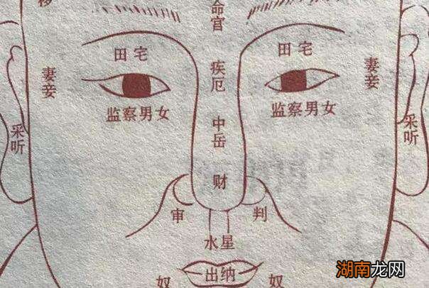 紫微在迁移宫是什么意思