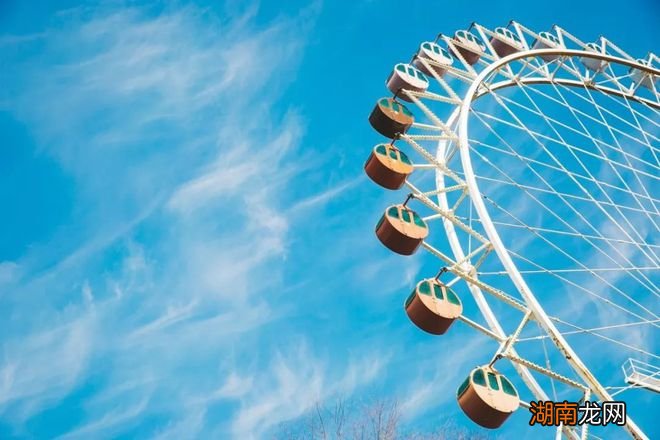 千里共良宵姚科情感文章情感故事素材视频