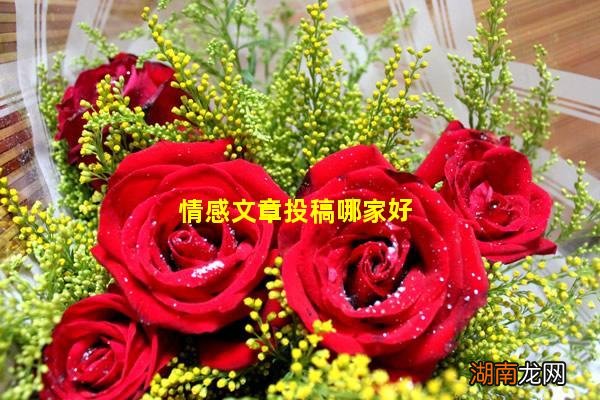 情感文章投稿哪家好