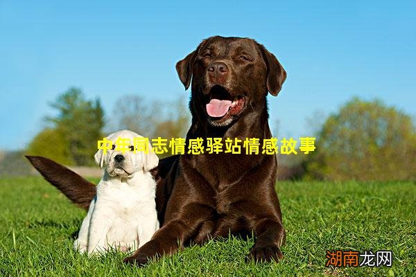 中年同志情感驿站情感故事