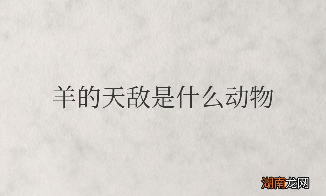 羊的天敌是什么动物图片