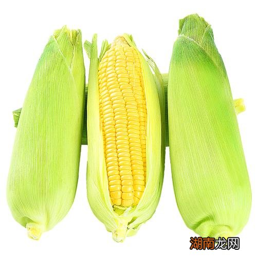 甜玉米和水果玉米的区别在哪里