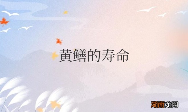 黄鳝的寿命一般多少年