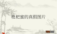 枇杷蜜的真假图片辨别