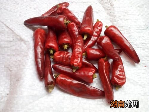 中国最香的辣椒排名榜