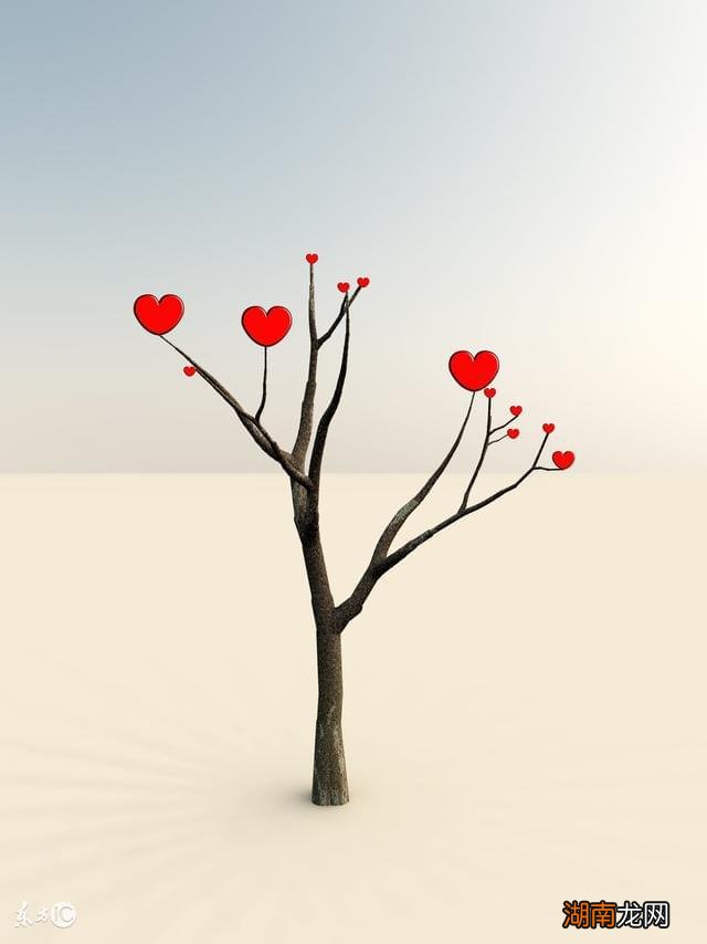 文案馆情感语录爱情