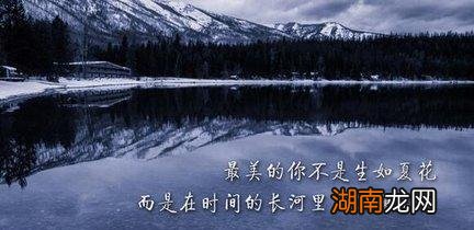 情感故事在哪个平台找