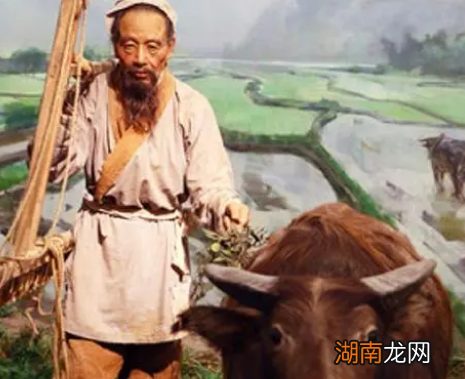 古人种地为什么不去开荒？开荒就没有什么好处吗？