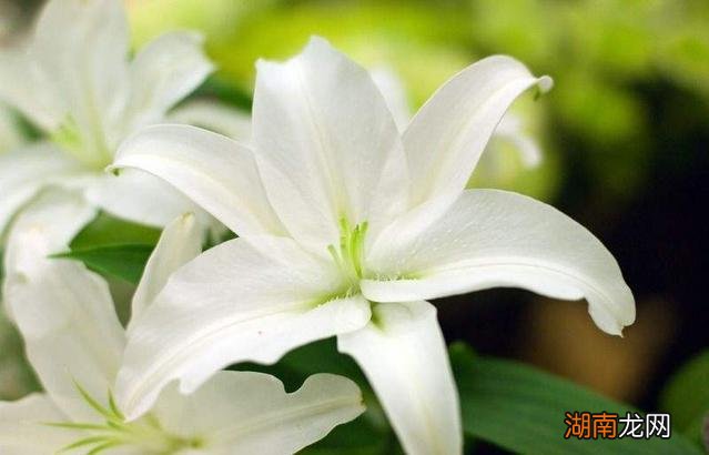 内心情感是什么意思