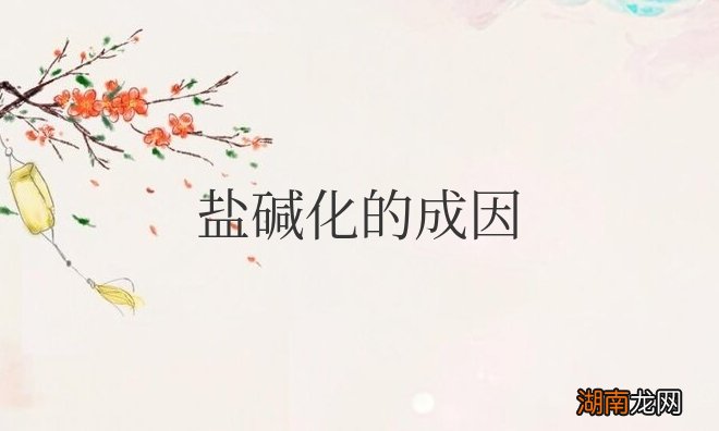 土地盐碱化的成因及治理措施