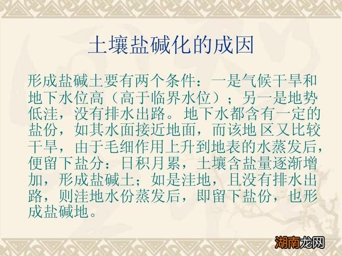 土地盐碱化的成因及治理措施