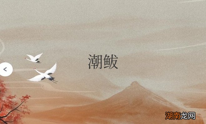 潮鲅山东话是什么意思