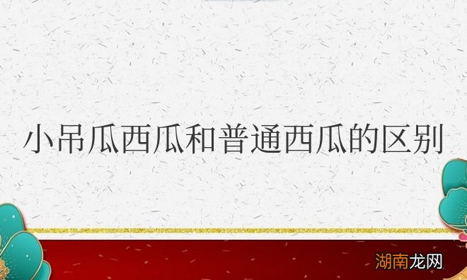 小吊瓜西瓜和普通西瓜的区别
