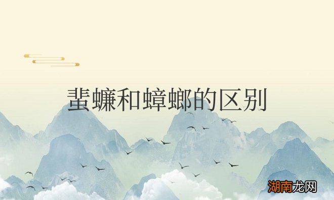 蜚蠊和蟑螂的区别
