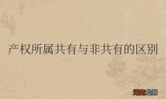 产权所属共有与非共有的区别