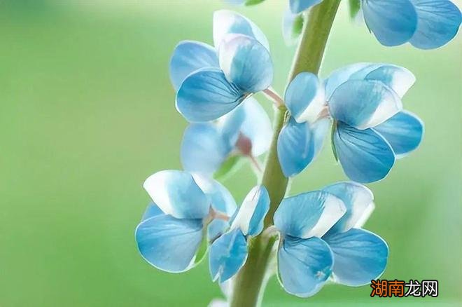 情感语录经典短句说说