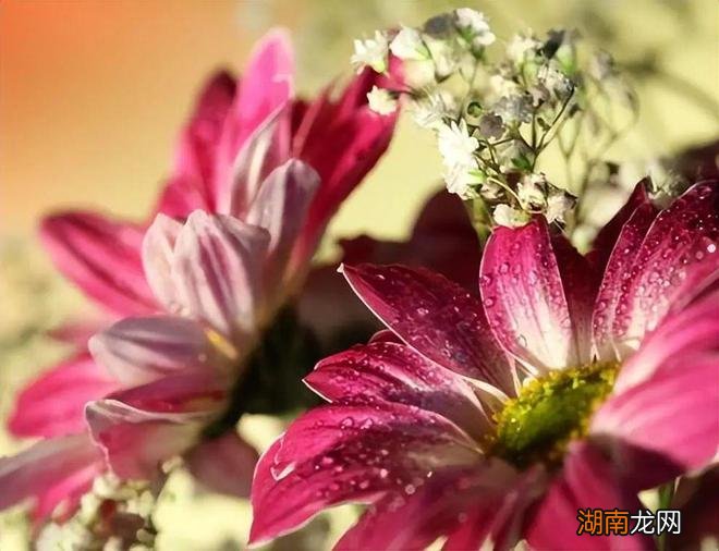 情感语录经典短句说说