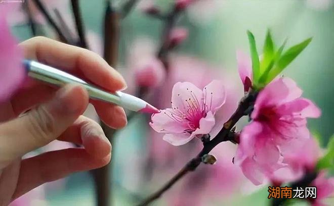 情感语录经典短句说说