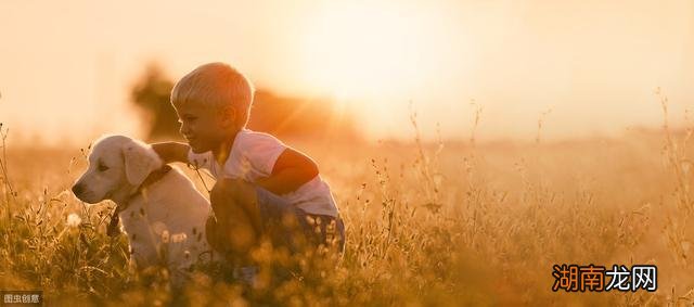 情感语录头像情感故事会我是谁的孩子