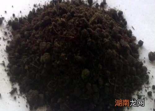 有机肥料正确使用方法 什么叫有机肥