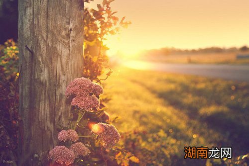 情感挽回被骗70000