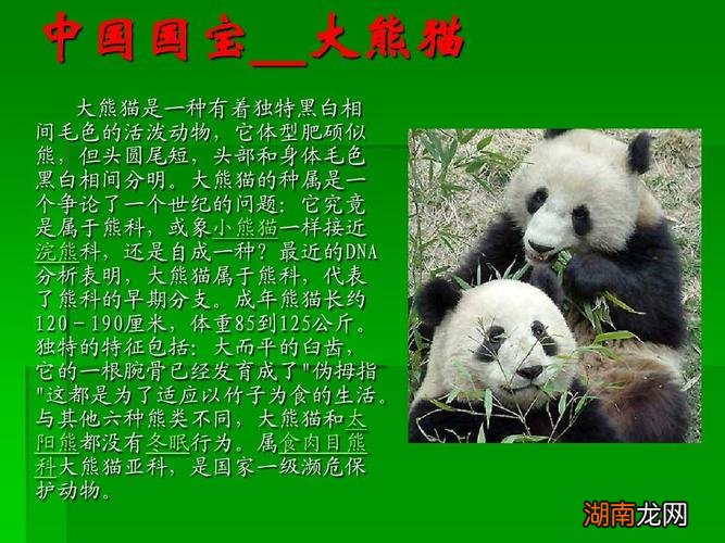 为什么大熊猫被称为国宝解答