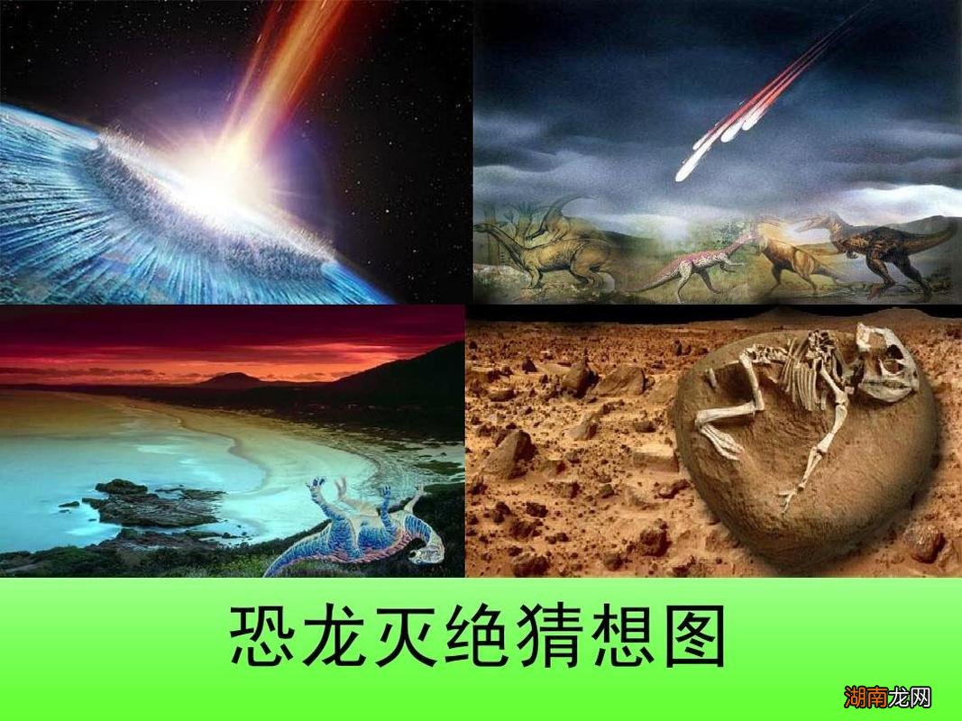 恐龙为什么会灭绝呢?是什么原因呢?