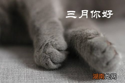 情感障碍的症状表现情感语录文案长句唯美