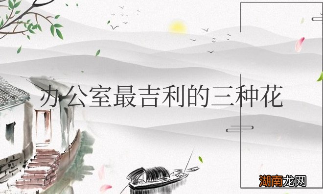 摆放办公室最吉利的三种花图片