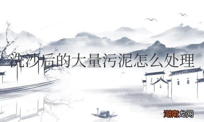 洗沙后的大量污泥怎么处理干净