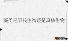 微型藻类是原核生物还是真核生物