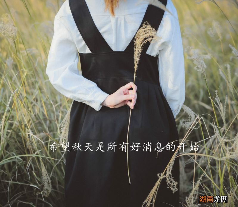 情感咨询师怎么考证情感图片素材无水印